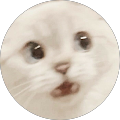 suu H profile picture